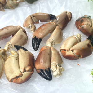 Pinces de tourteaux cuites 12/20