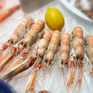 Langoustine cuite 20/30