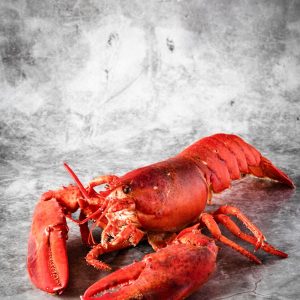 Homard Bleu (Européen) cuit