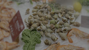 6- Bulots cuits Escale marée